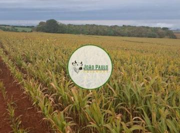 Rural , Rifaina · Fazenda a venda em ENTRE RIFAINA/SP E SACRAMENTO/MG - 77 Hectares - Ótimo para café