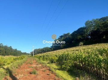 Terreno · 48998m² · Terreno à venda - em Marechal Cândido Rondon