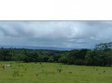 Rural , Agua Fria · VENDO BELÍSSIMA FAZENDA ENTRE AGUA FRIA E PADRE BERNADO COM 81 HALQUERES E 388 HECTARES 6198150-8787