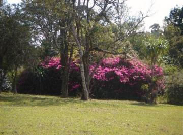 Rural · 300m² · 6 Quartos · Fazenda / Sítio para venda em Volta Grande (são João Novo) de 300.00m² com 6 Quartos