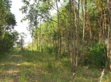 Terreno · 90000m² · Área à venda, 90000 m² por R$ 2.250.000,00 - Santa Luzia - Charqueada/SP