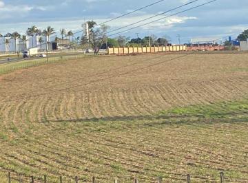 Área à venda, 37400 m² por R$ 1.600.000 - Nova Tietê - Tietê/SP · Área à venda, 37400 m² por R$ 1.600.000,00 - Guamium - Piracicaba/SP