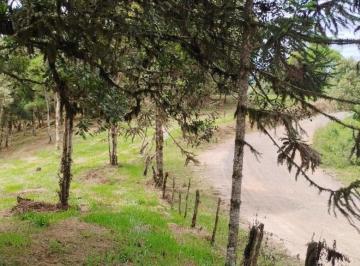 Foto 01 · Terreno, Laranjeiras, Campo Alegre, SC