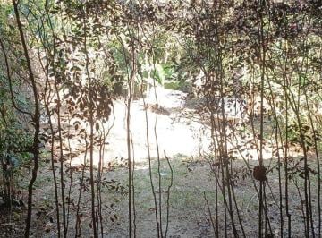 Rural · 1000m² · 2 Quartos · Sítio em Troperios Esmeraldas