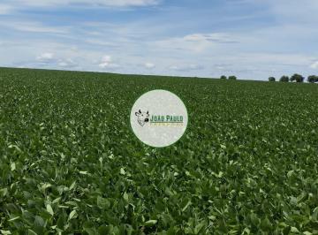 Rural , São João D'Aliança · Fazenda a venda em São João D'Aliança - 636 Hectares - 380 HA de plantio