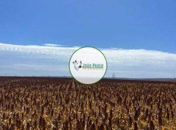 Rural , São João D'Aliança · Fazenda a venda em São João D'Aliança - 198 Hectares - 105 HA de plantação