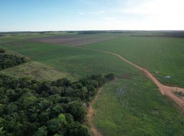 Rural , Rio Sono · OPORTUNIDADE DE OURO: Fazenda de Alta Performance com 360 Hectares de Lavoura em Miracema do Tocanti
