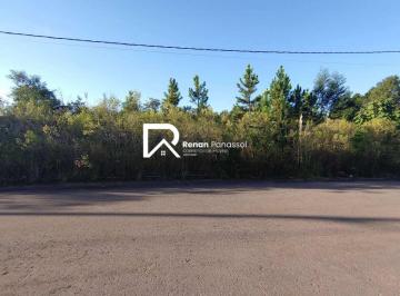 1400263588c587c8c445c3e9c26c14.jpeg · Terreno à venda em Caxias do Sul, São Virgílio, 325,000m²