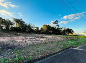 Terreno · 253m² · Lote / Terreno para venda em Residencial Plaza Martin de 253.11m²