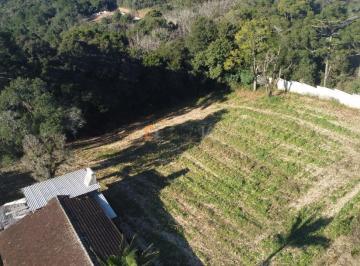 Foto 01 · Terreno, Jardim Padre José de Anchieta, Campo Largo, PR