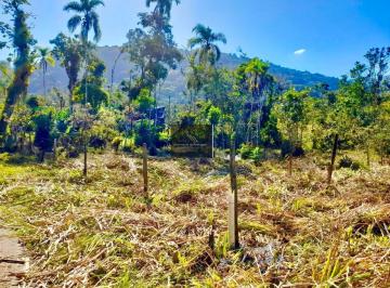 202604291243582802.jpeg · Terreno para Venda em Ubatuba, Vila Itamambuca