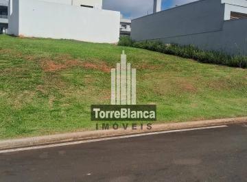 whatsapp-image-2026-07-13-at-13-41-161783962552209.jpeg · Terreno à venda, Contorno, Ponta Grossa, PR