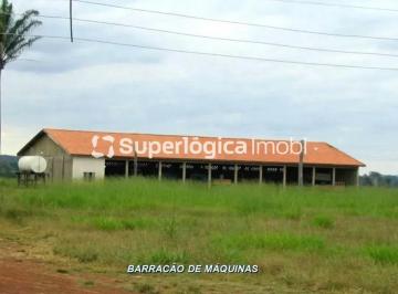 wyuja0ccch1764876050038.jpg · Imoveis - em Peixoto de Azevedo
