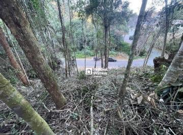 0a20ece47f1a52c45b67ac3c686c03b37cbc3b27 · Terreno à venda, 488 m² por R$ 265.000,00 - Cônego - Nova Friburgo/RJ