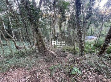 f38fbb530fc6ca19dc40cd91d588646335c514bc · Terreno à venda, 501 m² por R$ 220.000,00 - Cônego - Nova Friburgo/RJ