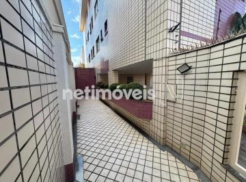 215a16ae-6f08-4f31-8fe5-cd78d105aa9a.webp · Apartamento para Locação, Prado, Belo Horizonte