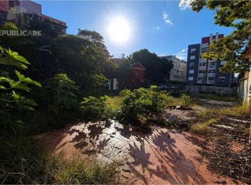 2xw94lxdicgvki1sl8hsp0qw7xqu.jpeg · Terreno à venda - no Bom Jesus