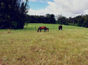 Rural · 40m² · Rurais à venda - em Nova Santa Rita