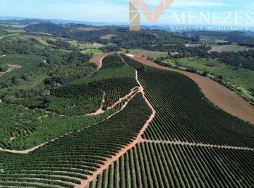 Foto 01 · Fazenda de café à venda em Muzambinho MG