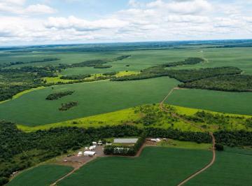 Imóvel Rural com Área de 1.058 ha (Fazenda Monte Alegre) - Rio Verde - GO - Foto [0] · Imóvel Rural com Área de 1.058 ha (Fazenda Monte Alegre) - Rio Verde - GO