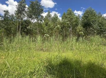 Rural · 20m² · Chacará a venda em Sapiranga Bairro Centenário