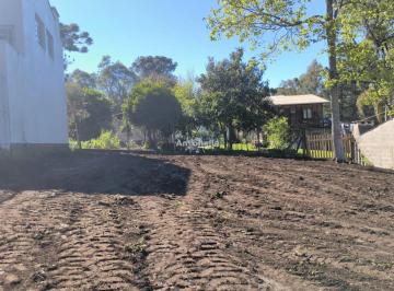 Terreno · 370m² · Terreno à venda no bairro Ana Rech