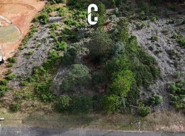 212160.jpg · Terreno à venda, Iporanga, Campos do Jordão, SP
