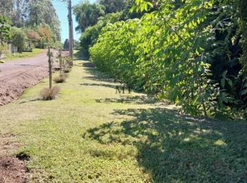 Terreno · 408m² · Terreno bairro Floresta, Picada Café. RS