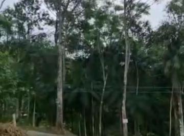 Terreno · 1m² · Terreno à venda - no Sertão do Trombudo