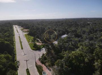 Terreno · 525m² · Lote em Corais do Arraial, Porto Seguro à venda por R$ 600 mil