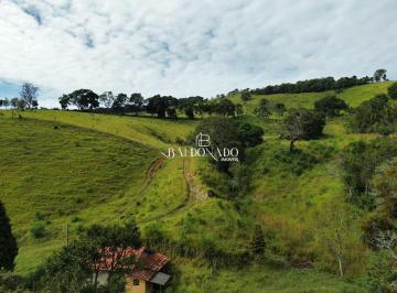 Rural · 48200m² · SITIO A VENDA EM BUENO BRANDAO MG 2 ALQUEIRES NASCENTE VISTA INCRIVEL ESCRITURA
