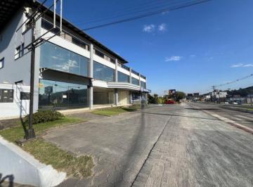 Comercial · 400m² · 10 Vagas · Alugo Sala Comerical Terrea Bairro Santa Terezinha - Gaspar