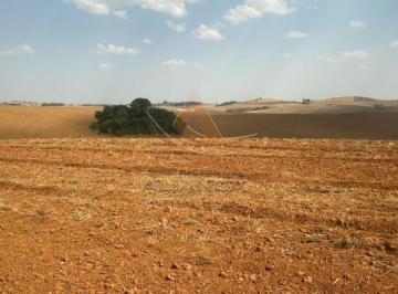 Imagem 1 · Fazenda para venda em Centro, São João da Mata