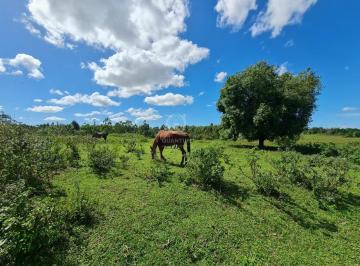 Imagem 1 · Fazenda para venda em Ponte dos Leites, Araruama