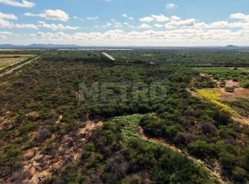 Imagem 1 · Fazenda