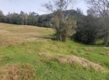 Terreno · 20000m² · Área de terra bairro Joaneta, Picada Café.RS