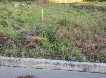Terreno · 316m² · Terreno no bairro Desvio Rizzo