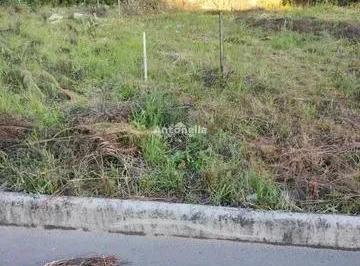 Terreno · 316m² · Terreno no bairro Desvio Rizzo