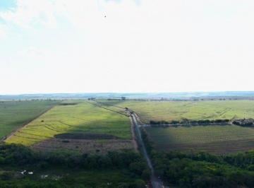 Rural , Niquelândia · FAZENDA / 300 ALQUEIRES (1.452 HECTARES) / FAZENDA BONSUCESSO / NIQUELÂNDIA / GOIÁS