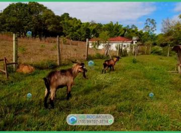 20260715110118190.jpg · Sítio para Venda em Araçoiaba da Serra, ZONA RURAL, 3 dormitórios, 2 banheiros
