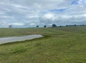 Foto 01 · Fazenda, Cariri, São Sebastião do Passé, BA