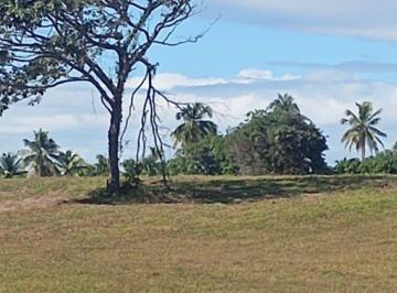 Terreno , São Gonçalo do Amarante · LOTEAMENTO BRISAS DO SIUPÉ 1