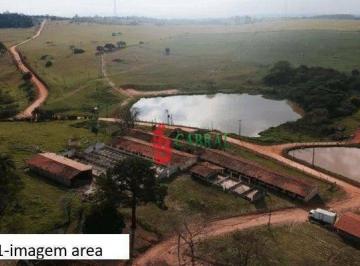 f92e4e6b37fa3c12fd2108c28ed5a11ffda53036 · Sítio com 7 dormitórios à venda, 16000 m² por R$ 6.000.000,00 - Pedregulho - Itu/SP