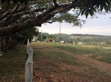 Rural · 6520000m² · 1 Quarto · Rurais à venda - na Zona Rural
