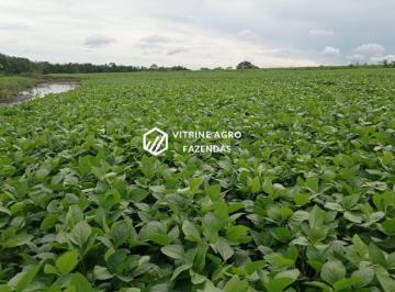 Foto 01 · Fazenda produtiva á venda, 4.060 hectares Matões-MA. Banhada pelo Rio Parnaíba. Maquinário incluso.