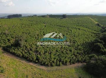 Rural · 315000m² · 6 Quartos · SÍTIO COM CAFÉ À VENDA – SÃO SEBASTIÃO DA GRAMA/SP