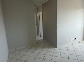 Apartamento · 55m² · 2 Quartos · Apartamento em Jardim Dom Vieira, Campinas/SP de 55m² 2 quartos para locação R$ 2.090,00/mes