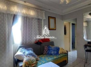 Apartamento · 50m² · 2 Quartos · Apartamento em Jardim Nova Mercedes, Campinas/SP de 50m² 2 quartos à venda por R$ 170.000,00