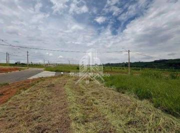 Terreno · 233m² · Terreno em Parque Brasil 500, Paulínia/SP de 233m² à venda por R$ 212.000,00