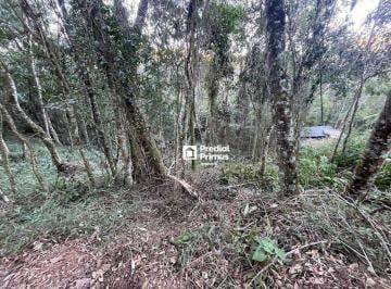 Terreno · 501m² · Terreno em Cônego, Nova Friburgo/RJ de 0m² à venda por R$ 220.000,00